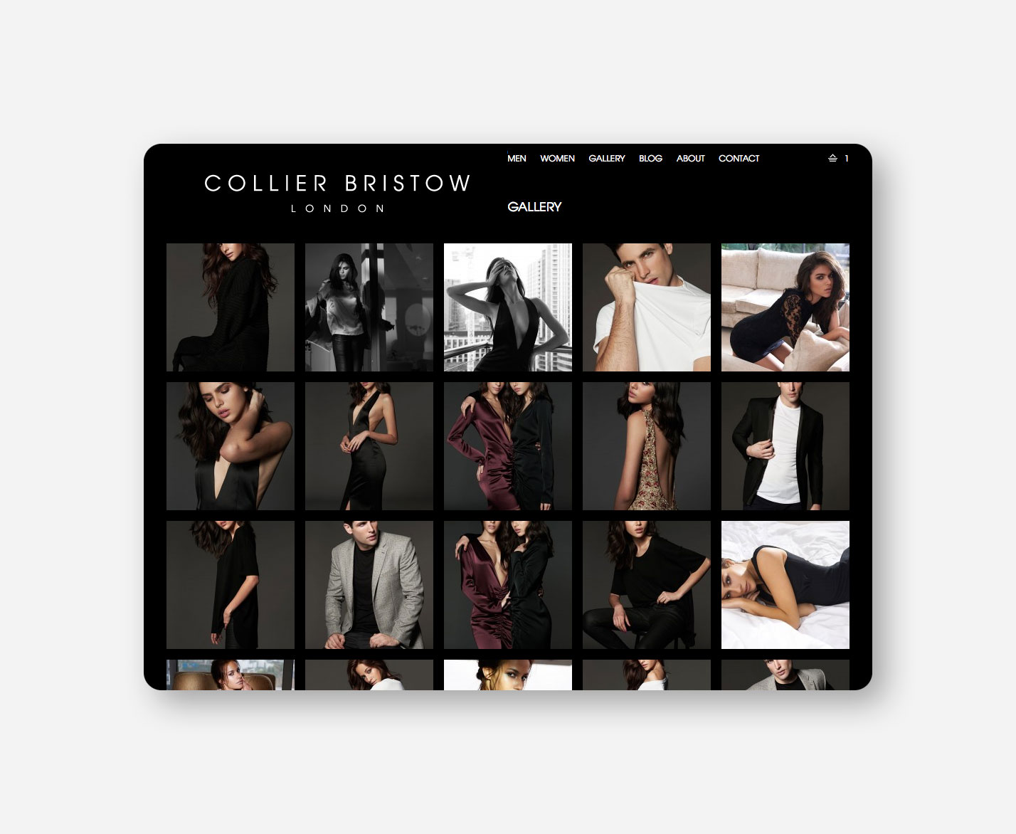 Collier Bristow Website Gallery